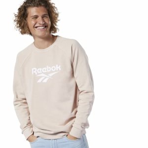 Bluza Męskie Reebok Classic Vector Crew Głęboka Pomarańczowe PL 49EMXWL